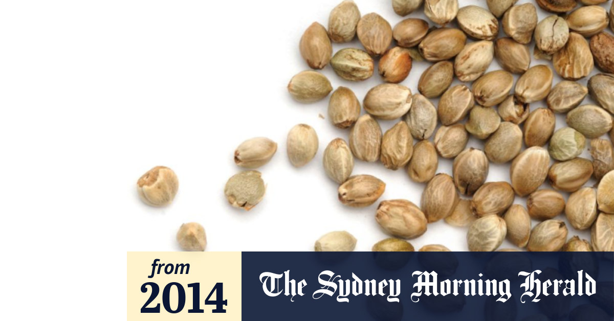 Hemp seeds is this superfood be illegal?